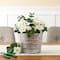 6.3" Galvanized Pail by Ashland®